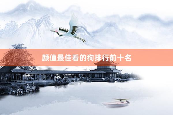颜值最佳看的狗排行前十名
